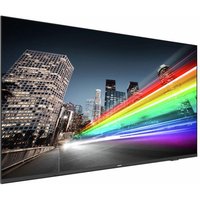 Philips 70BFL2214 Digital Signage TV Display 177 cm 70 Zoll von Philips