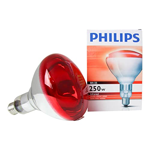 Philips IR 250R R125 E27 Infrarotlampe Wärmelampe 250 Watt Philips IR 250R R125 E27 Infrarotlampe Wärmelampe 250 Watt von Philips