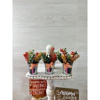 Herbst Gestuftes Tablett Dekor, Tiered Tray Mini Blumenarrangement, Wohndekor, Blumen, Blumenarrangements von PinkLizzyDesigns