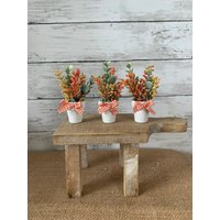 Herbst Gestuftes Tablett Mini Blumengesteck, 3Er Set, Bauernhaus Wohndekor, Vasen, Grün, Eukalyptus von PinkLizzyDesigns