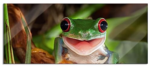 Glasbild Panorama | Wandbild aus Echtglas | Lachender Frosch mit roten Augen auf Ast | 100x40 cm | inkl. Aufhängung und Abstandshalter von Pixxprint