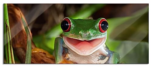 Glasbild Panorama | Wandbild aus Echtglas | Lachender Frosch mit roten Augen auf Ast | 120x50 cm | inkl. Aufhängung und Abstandshalter von Pixxprint