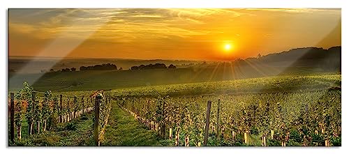 Glasbild Panorama | Wandbild aus Echtglas | Weinberg in Bergerac Frankreich | 120x50 cm | inkl. Aufhängung und Abstandshalter von Pixxprint