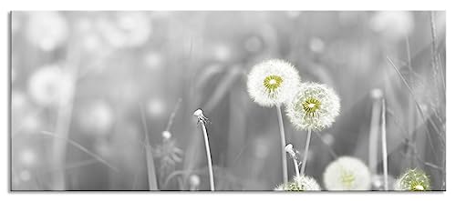 Glasbild Panorama | Wandbild aus Echtglas | wunderschöne Pusteblumen | 100x40 cm | inkl. Aufhängung und Abstandshalter von Pixxprint