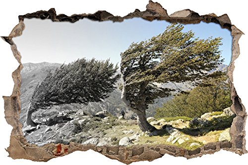 Pixxprint 3D_WD_5077_92x62 Alter Schiefer Baum in den Bergen Wanddurchbruch 3D Wandtattoo, Vinyl, schwarz / weiß, 92 x 62 x 0,02 cm von Pixxprint