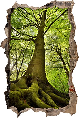 Pixxprint 3D_WD_S2434_92x62 gigantischer Baum im Wald Wanddurchbruch 3D Wandtattoo, Vinyl, bunt, 92 x 62 x 0,02 cm von Pixxprint