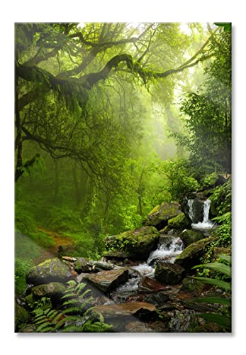 Pixxprint Glasbild | Wandbild aus Echtglas | Kleinder Wasserfall im Dschungel | 70x100 cm | inkl. Aufhängung und Abstandshalter von Pixxprint
