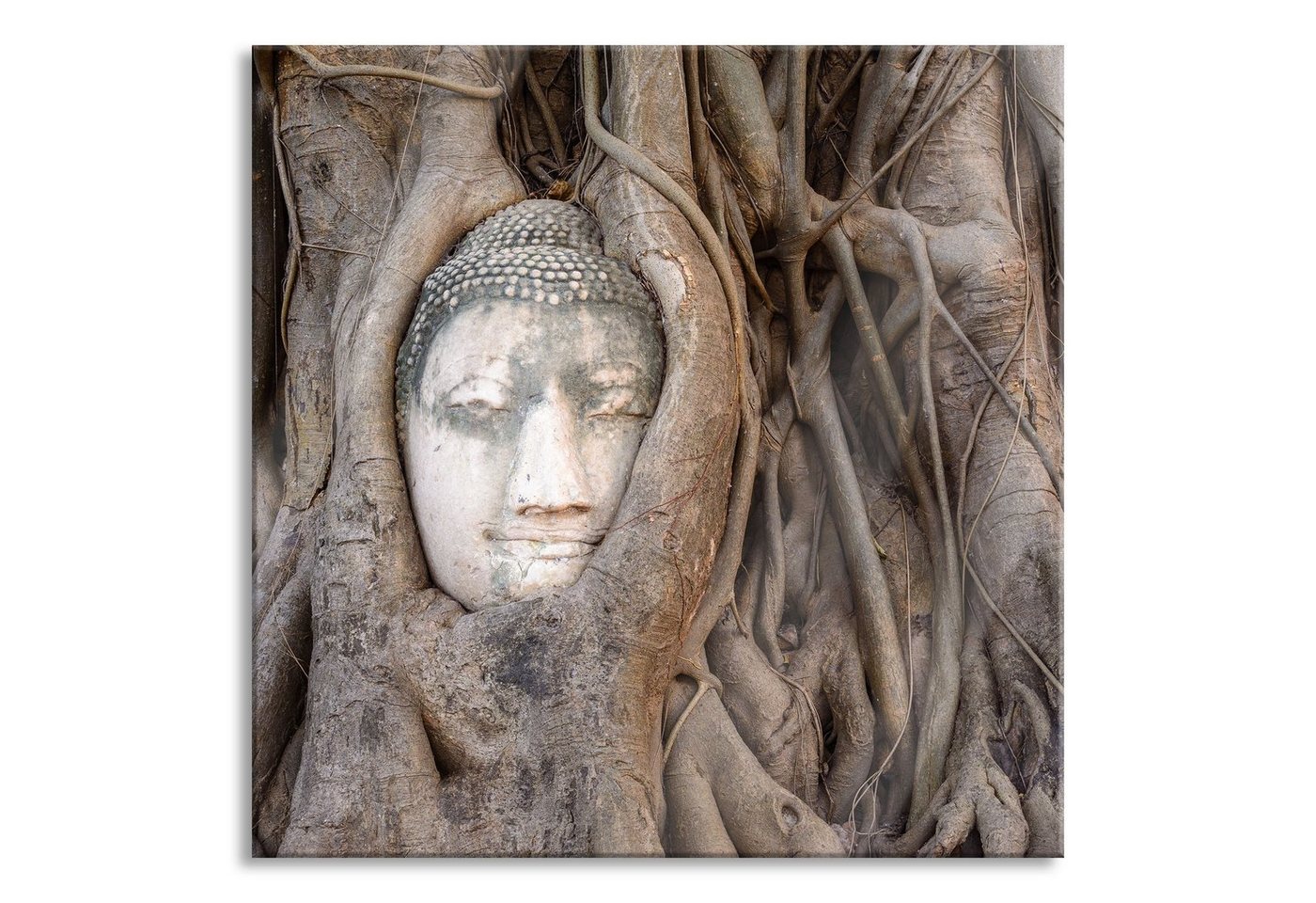 Pixxprint Glasbild Buddha Kopf im Baum, Buddha Kopf im Baum (1 St), Glasbild aus Echtglas, inkl. Aufhängungen und Abstandshalter von Pixxprint