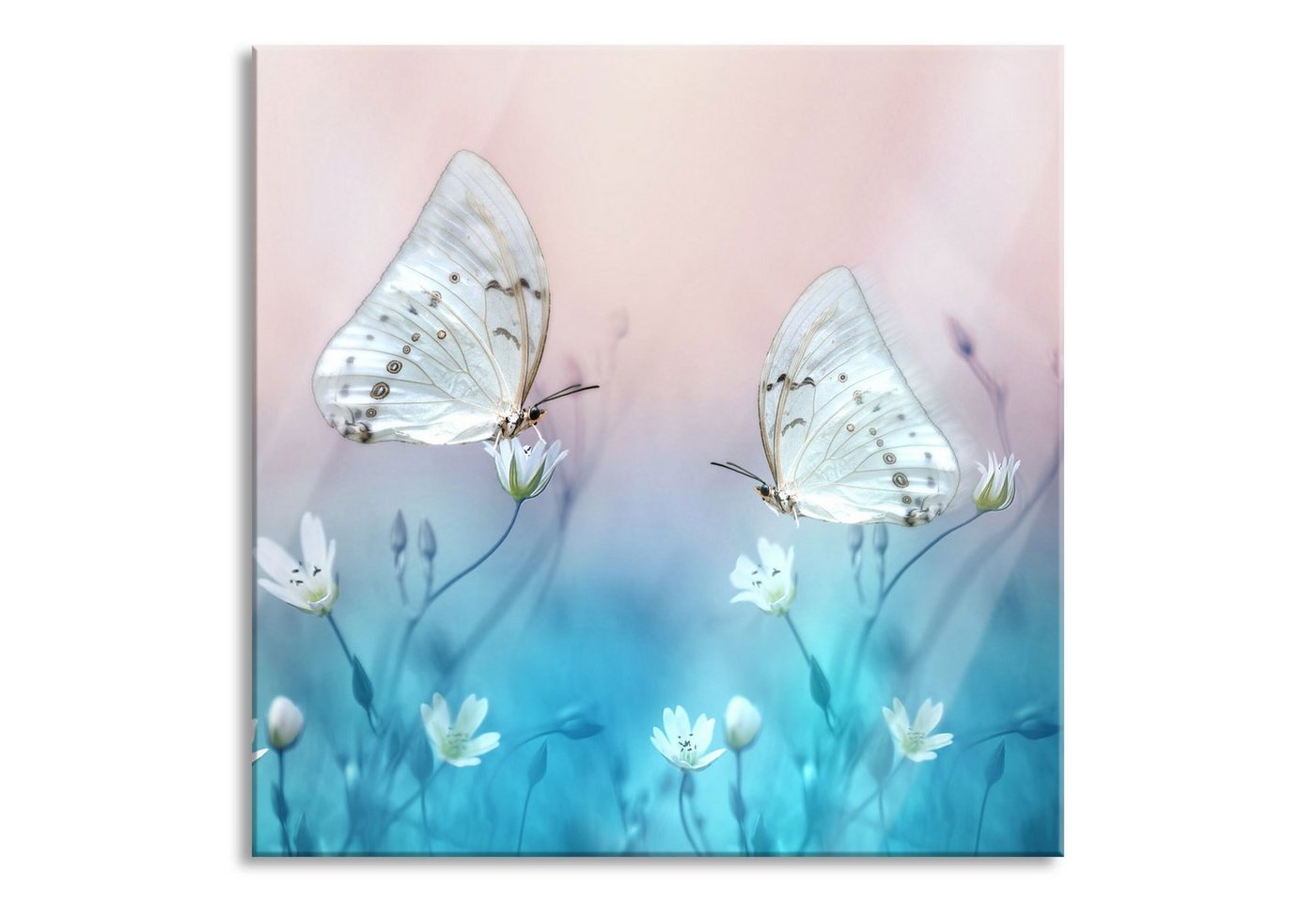 Pixxprint Glasbild Schmetterling auf kleinen Blumen, Schmetterling auf kleinen Blumen (1 St), Glasbild aus Echtglas, inkl. Aufhängungen und Abstandshalter von Pixxprint