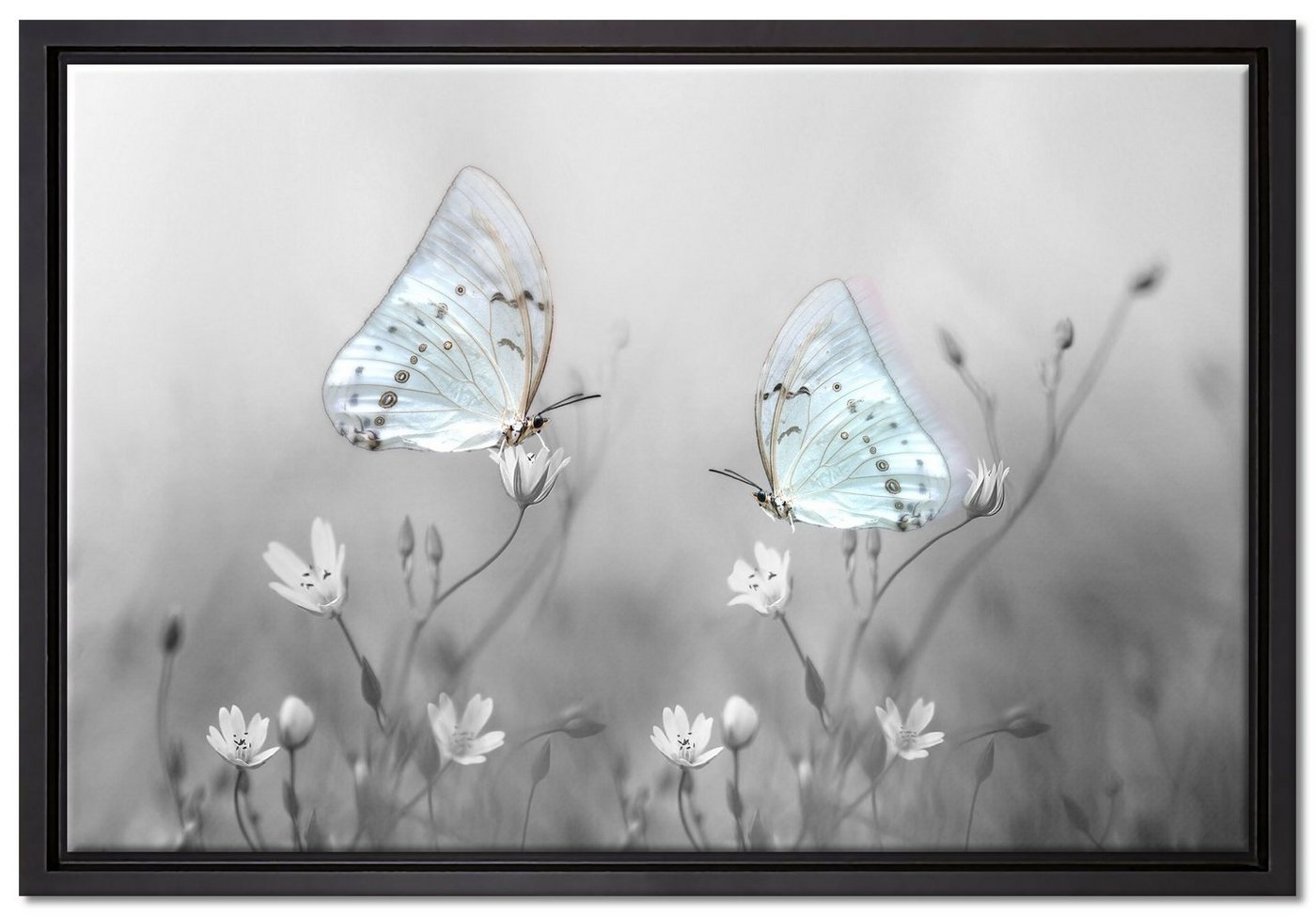 Pixxprint Leinwandbild Schmetterling auf kleinen Blumen, Wanddekoration (1 St), Leinwandbild fertig bespannt, in einem Schattenfugen-Bilderrahmen gefasst, inkl. Zackenaufhänger von Pixxprint