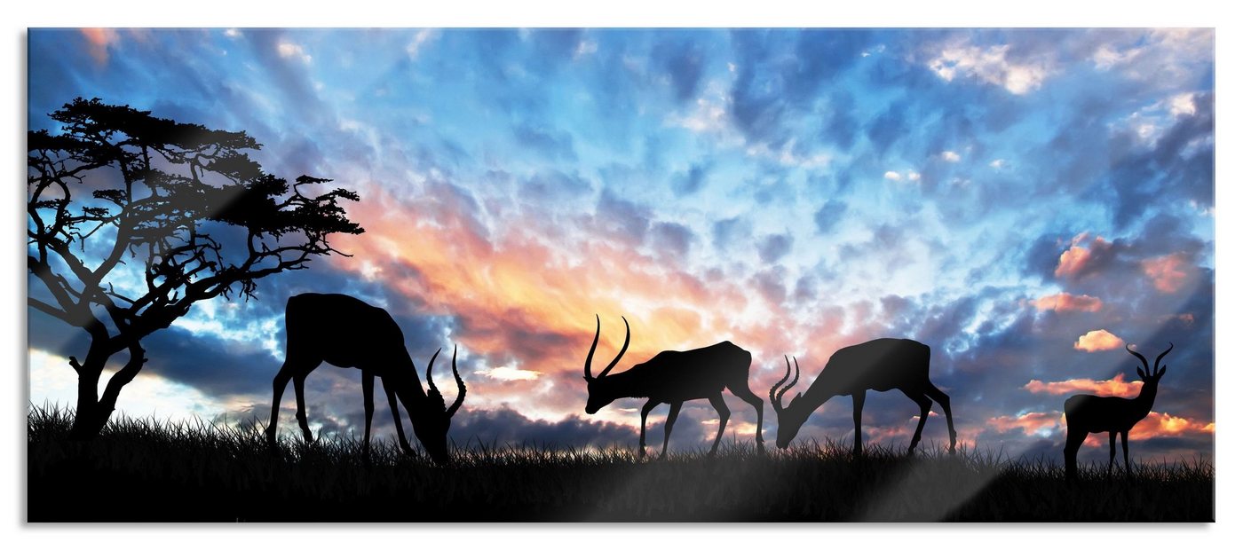 Pixxprint Glasbild Tiere in der Natur am Abend, Tiere in der Natur am Abend (1 St), Glasbild aus Echtglas, inkl. Aufhängungen und Abstandshalter von Pixxprint