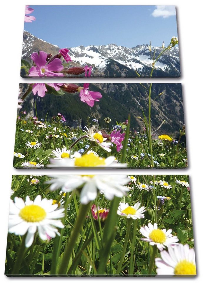 Pixxprint Leinwandbild Wunderschöne Blumen Alpenwiese, Wunderschöne Blumen Alpenwiese 3Teiler (120x80cm) (1 St), Leinwandbild fertig bespannt, inkl. Zackenaufhänger von Pixxprint