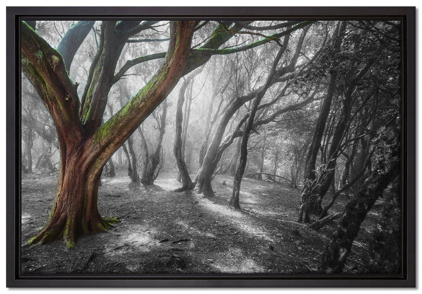 Pixxprint Leinwandbild einsamer Baum in tristem Grau, Wanddekoration (1 St), Leinwandbild fertig bespannt, in einem Schattenfugen-Bilderrahmen gefasst, inkl. Zackenaufhänger von Pixxprint