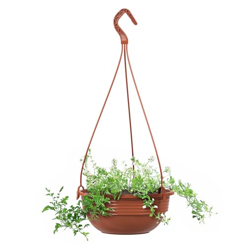 Blumenampel 25 cm Durchmesser Pflanzschale Farbe Terrakotta Kunststoff Blumenschale für Innen und Außen Deko Schale zum hängen witterungs- und frostbeständig von Plastard