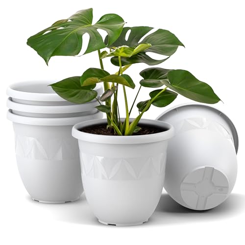 Plastard Übertopf 5er Set Durchmesser 21 cm Weiss Blumentopf für Innen und Außen aus Kunststoff Pflanztopf für Balkon Terrasse Pflanzkübel Kräutertopf von Plastard