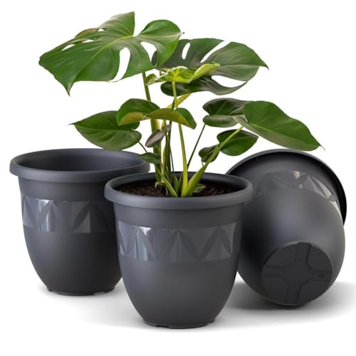 Plastard Übertopf 3er Set Durchmesser 24 cm Anthrazit Blumentopf für Innen und Außen aus Kunststoff Pflanztopf für Balkon Terrasse Pflanzkübel Kräutertopf von Plastard