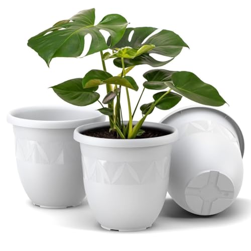 Blumentopf Capri 3er Set Durchmesser 24 cm Weiß große Übertöpfe für Innen und Außen aus Kunststoff für Plant Pot Balkon Terrasse Blumentöpfe Pflanzkübel Kräutertopf Blumenkübel von Plastard