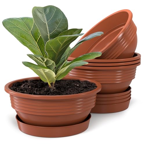 Pflanzschale mit Untersetzer im 5er Set in Terrakotta 25 cm Durchmesser große runde Blumenschalen aus Kunststoff für Garten Terrasse Wohnung für Aussen und Innen Schalen Pflanztopf von Plastard