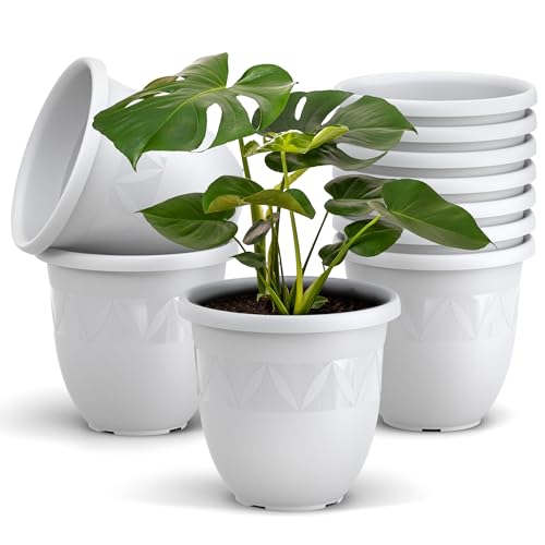 Plastard Übertopf 10er Set Durchmesser 24 cm Weiß Blumentopf für Innen und Außen aus Kunststoff Pflanztopf für Balkon Terrasse Pflanzkübel Kräutertopf von Plastard