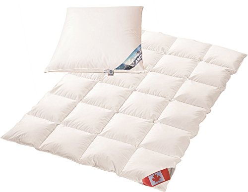 Polaris Spar Set: Ganzjahres Kassettenstegbett Premium canadische Daunen Daunenbett 100% Natur Gänsedaunenbett (135x200) + Daunenkissen von Polaris