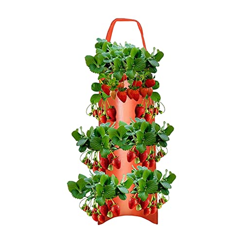 Pflanztaschen Hängend Vertikal Garten Erdbeere Pflanzsack 8 Löcher Senkrechter Wandmontierter Pflanztasche Innen Draussen Vertikaler Garten Pflanzen Tasche Grow Tasche Für Hof Garten Balkon Home Decor von Pomrone