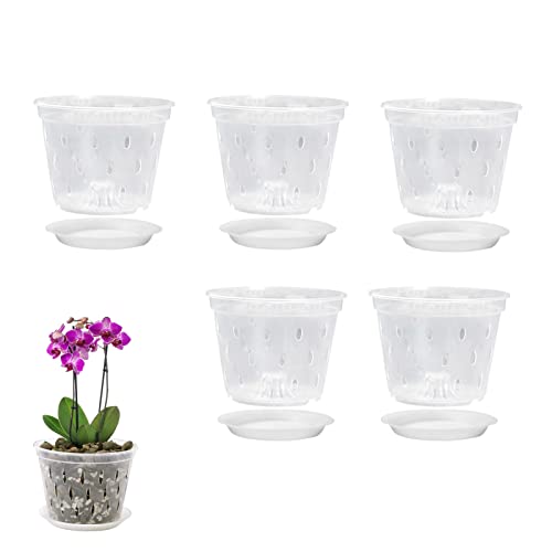 5 Stück Orchideentopf Transparent 14cm, Orchidee Pflanztöpfe Kunststoff mit Löchern und Untertassen, Außen Innen Garten Balkon Blumentopf für die Bepflanzung Blumen Orchidee Schlange Pflanze Violett von Pomurom