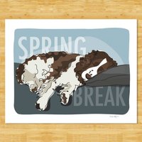 Springer Spaniel Kunstdruck - Spring Break Lustige Hunde-Pop-Art-Drucke, Spaniel-Geschenke von PopDoggie
