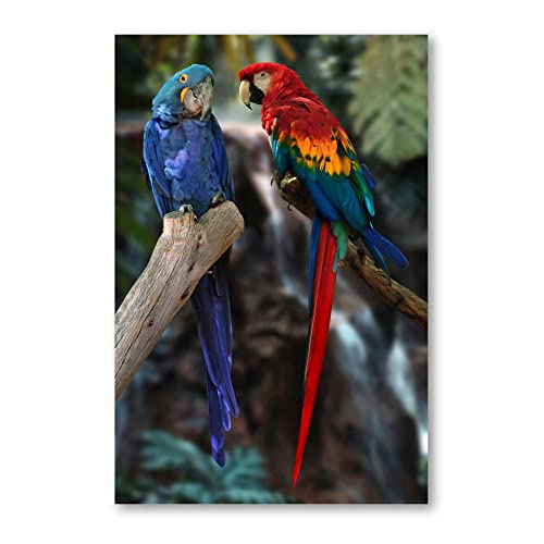 Postereck - 0211 - Papagei, Paar Vogel Natur Kakadu Ara Natur Tier - Wandposter Fotoposter Bilder Wandbild Wandbilder - Leinwand - 100,0 cm x 75,0 cm von Postereck