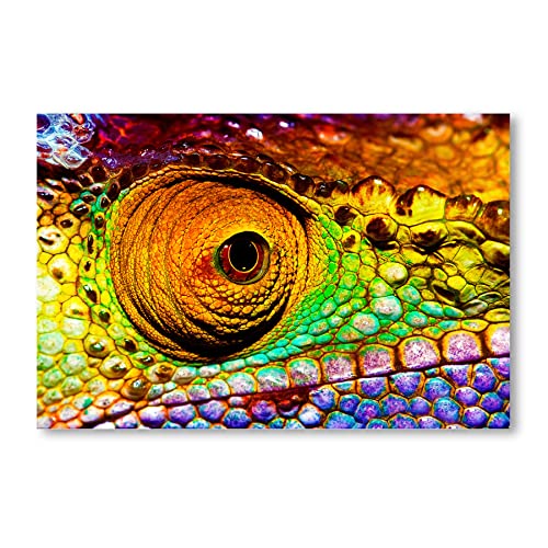 Postereck - 1401 - Chamäleon, Tier Natur Bunt Auge Echse Kopf - Wandposter Fotoposter Bilder Wandbild Wandbilder - Leinwand - 100,0 cm x 75,0 cm von Postereck