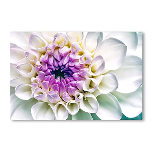 Postereck - 2507 - Dahlie, Blume Pflanze Natur Weiss Lila Blüte - Wandposter Fotoposter Bilder Wandbild Wandbilder - Poster - DIN A4-21,0 cm x 29,7 cm von Postereck