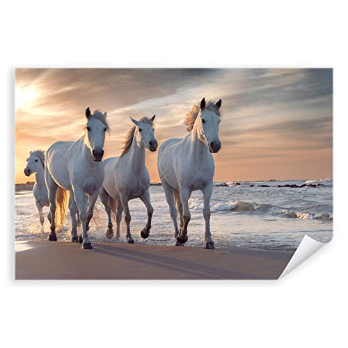 Postereck - 3510 - Pferde, Herde Natur Tier Meer Strand Weiss - Wandposter Fotoposter Bilder Wandbild Wandbilder - Leinwand - 100,0 cm x 75,0 cm von Postereck