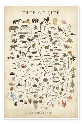 Baum des Lebens (englisch) Poster von Studio W 70 x 100 cm Beige Botanik Wanddeko von Posterlounge