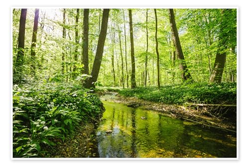 Frischer grüner Wald Poster von Oliver Henze 150 x 100 cm Grün Geschenkideen Wanddeko von Posterlounge