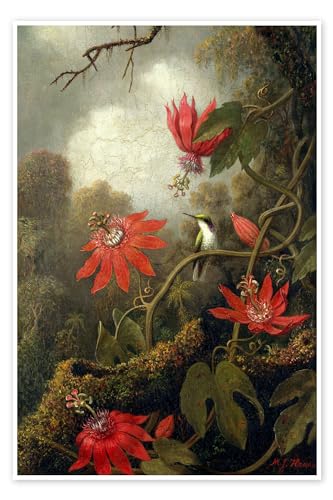 Kolibri und Passionsblumen Poster von Martin Johnson Heade 40 x 60 cm Grün Romantik Wanddeko von Posterlounge