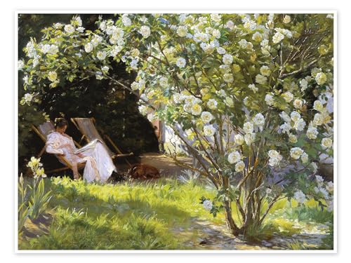 Rosen, Marie Krøyer sitzt im Liegestuhl im Garten von Frau Bendsens Haus Poster von Peder Severin Krøyer 40 x 30 cm Grün Impressionismus Wanddeko von Posterlounge