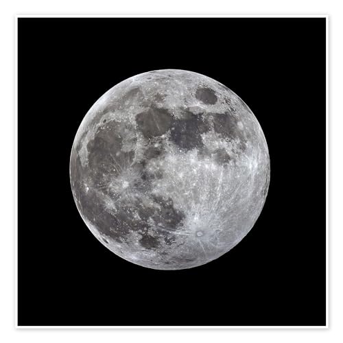 Vollmond Poster von MonarchC 100 x 100 cm Grau Natur Wanddeko von Posterlounge