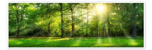 Wald Panorama mit Sonnenstrahlen im Sommer Poster von Jan Christopher Becke 150 x 50 cm Grün Landschaften Wanddeko von Posterlounge