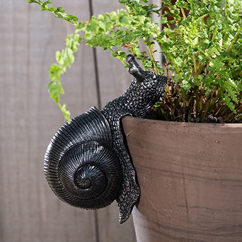 Pot Buddies handgefertigte Schneckenfigur zum Aufhängen – Dekorative Hängende Gartenfigur – Blumentopffigur Pot Buddies handgefertigte Schneckenfigur zum Aufhängen – Dekorative Hängende Gartenfigur – Blumentopffigur von Potty Feet