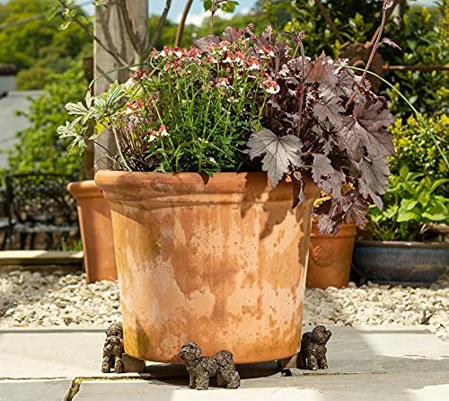 Potty Feet Bichon Frisé-Blumentopffüße, bronzefarben, 3 Stück Potty Feet Bichon Frisé-Blumentopffüße, bronzefarben, 3 Stück von Potty Feet