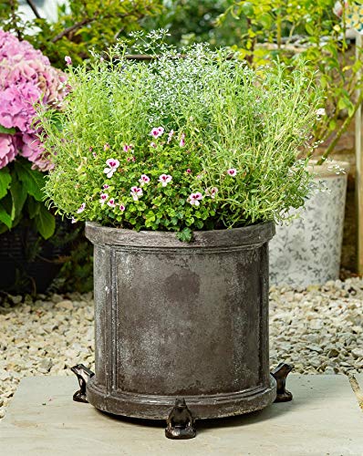 Potty Feet Blumentopf-Füße mit Froschfiguren, Pflanzgefäß, handgefertigt, dekorative Ornamente, 3 Stück Potty Feet Blumentopf-Füße mit Froschfiguren, Pflanzgefäß, handgefertigt, dekorative Ornamente, 3 Stück von Potty Feet