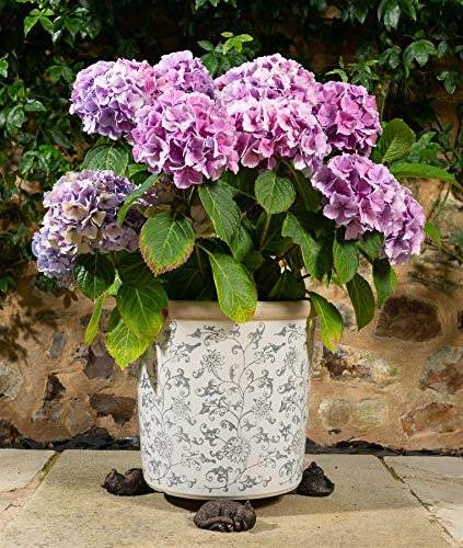 Potty Feet Blumentopf-Füße mit schlafender Katze, zusammengerollt, handgefertigt, dekorative Ornamente, 3 Stück Potty Feet Blumentopf-Füße mit schlafender Katze, zusammengerollt, handgefertigt, dekorative Ornamente, 3 Stück von Potty Feet