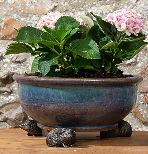 Potty Feet Igel-Figuren Blumentopffüße – Pflanzgefäßstütze – handgefertigte dekorative Ornamente – 3 Stück Potty Feet Igel-Figuren Blumentopffüße – Pflanzgefäßstütze – handgefertigte dekorative Ornamente – 3 Stück von Potty Feet