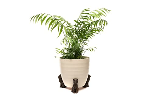 Potty Feet Kübelfüße Katze 3er-Set Potty Feet Kübelfüße Katze 3er-Set von Potty Feet