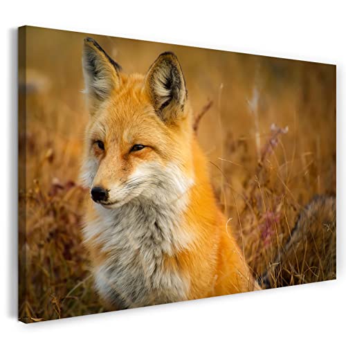 Leinwand (80x60cm): Tier-Bilder Natur Wildnis Wald Landschaft Fuchs sieht aus w von Printed Paintings
