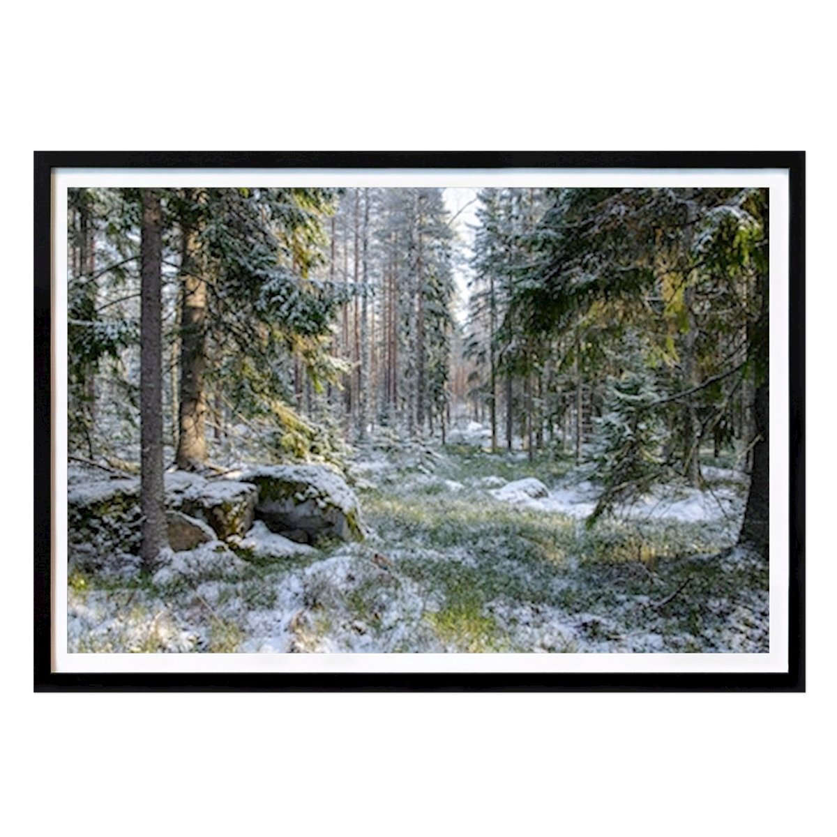 Poster: Frühling Winter im Wald von Karin Lorvik von Printler
