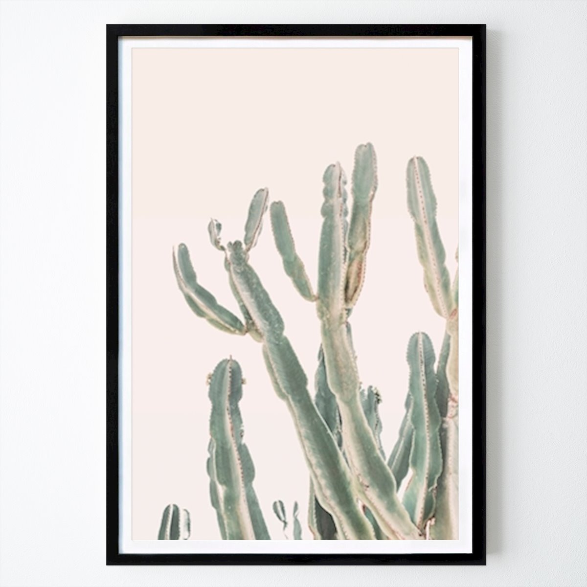 Poster: Sonnenaufgang Kaktus von Kathrin Pienaar von Printler