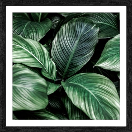 Pro-Art gerahmtes Wandbild Slim Scandic Jungle Leaves I, 28x28 cm von Pro-Art