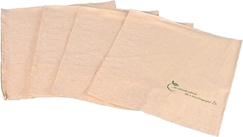 2000 Bio Servietten Napkins Recycling Tissue Papier 33x33cm (gefaltet auf 16,5x16,5cm) 2lg 2-lagig 1/4 Falz braun natur mit Bio Neutraldruck von Pro DP
