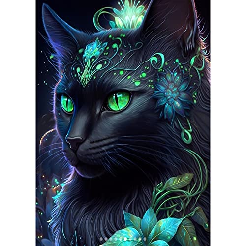 QENSPE 5D Diamond Painting Erwachsene Schwarz Katze Diamant Painting Bilder Katze Diamond Art Full DIY Diamant Kunst Malerei Stickerei Set Kreuzstich Bilder Home Wand Dekor 30x40cm von QENSPE