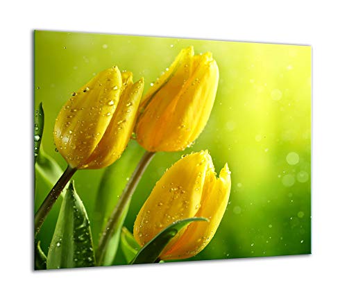 QTA | Herdabdeckplatte 60x52 Einteilig Glas Elektroherd Induktion Herdschutz Spritzschutz Glasplatte Schneidebrett Tulpen Blume von QTA